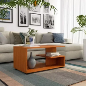 coffee table in Nairobi living room with sectional sofa and indoor plants