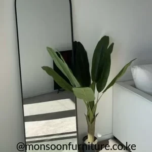 Tall black arched full-length mirror with a slim frame leaning against a wall beside a green potted plant