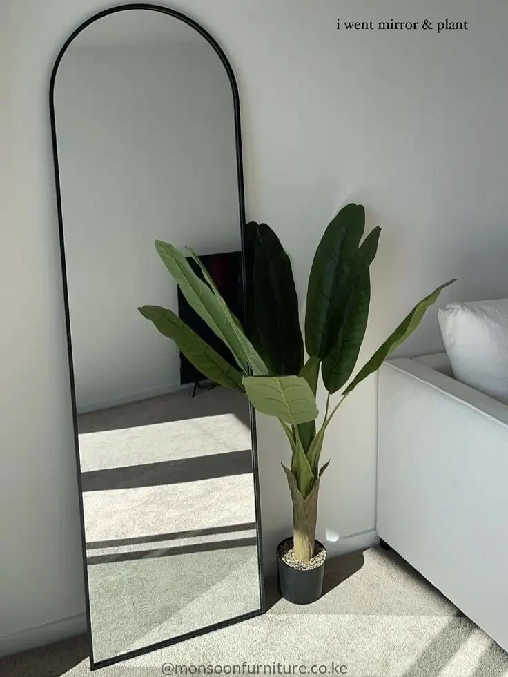 Tall black arched full-length mirror with a slim frame leaning against a wall beside a green potted plant