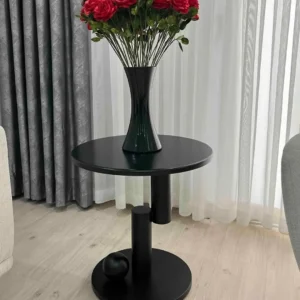 Black round pedestal side table with circular base and red flower vase in a modern interior