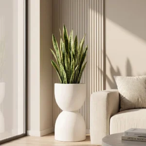 Aldermere white sculptural planter with tall green indoor plant