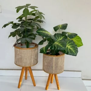 Roseford rattan cane and wood raised planters with indoor green plants