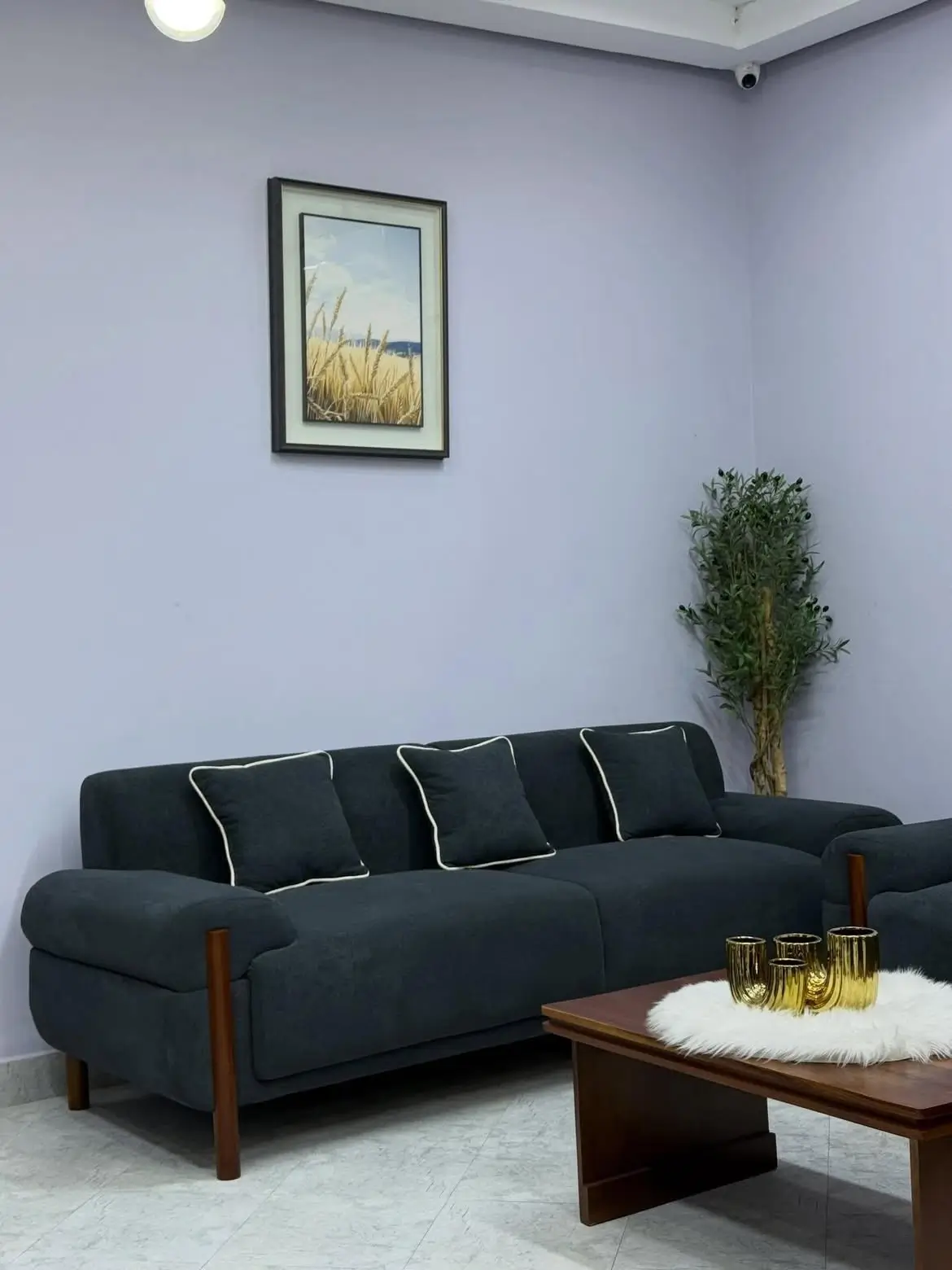 Dark charcoal sofa with rounded arms and wood-toned front supports