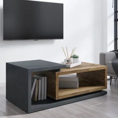 Kibou grey and brown storage coffee table with open compartments